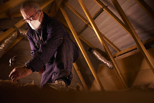 Best Specialized Insulation Services in Flemington, PA